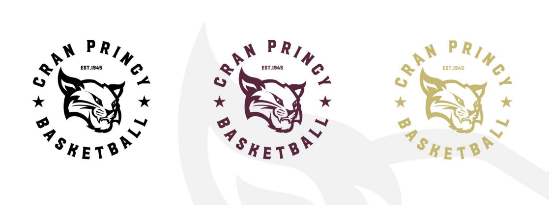 Photo Annecy Basket Camp