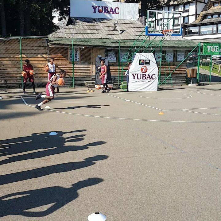 Photo Basket Aventures