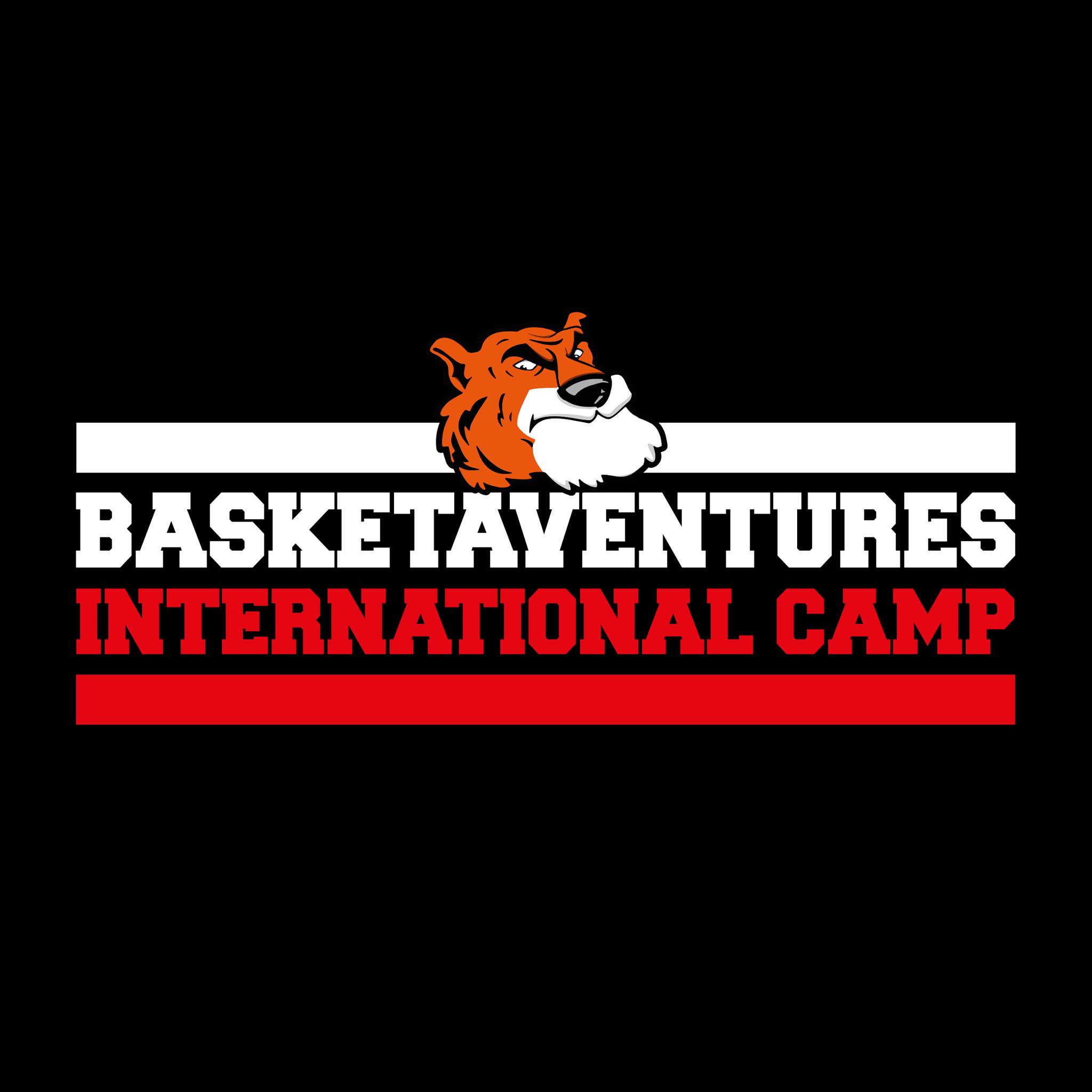 Photo Basket Aventures