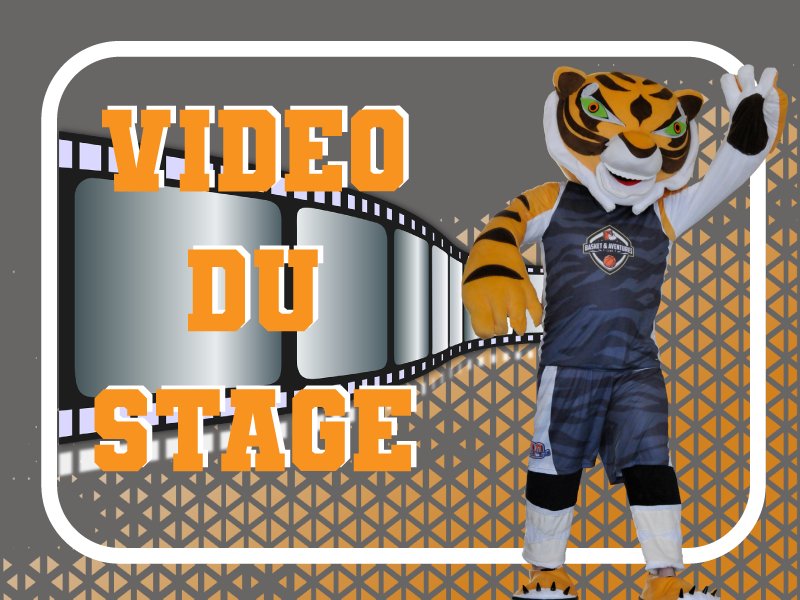 Photo Basket Aventures