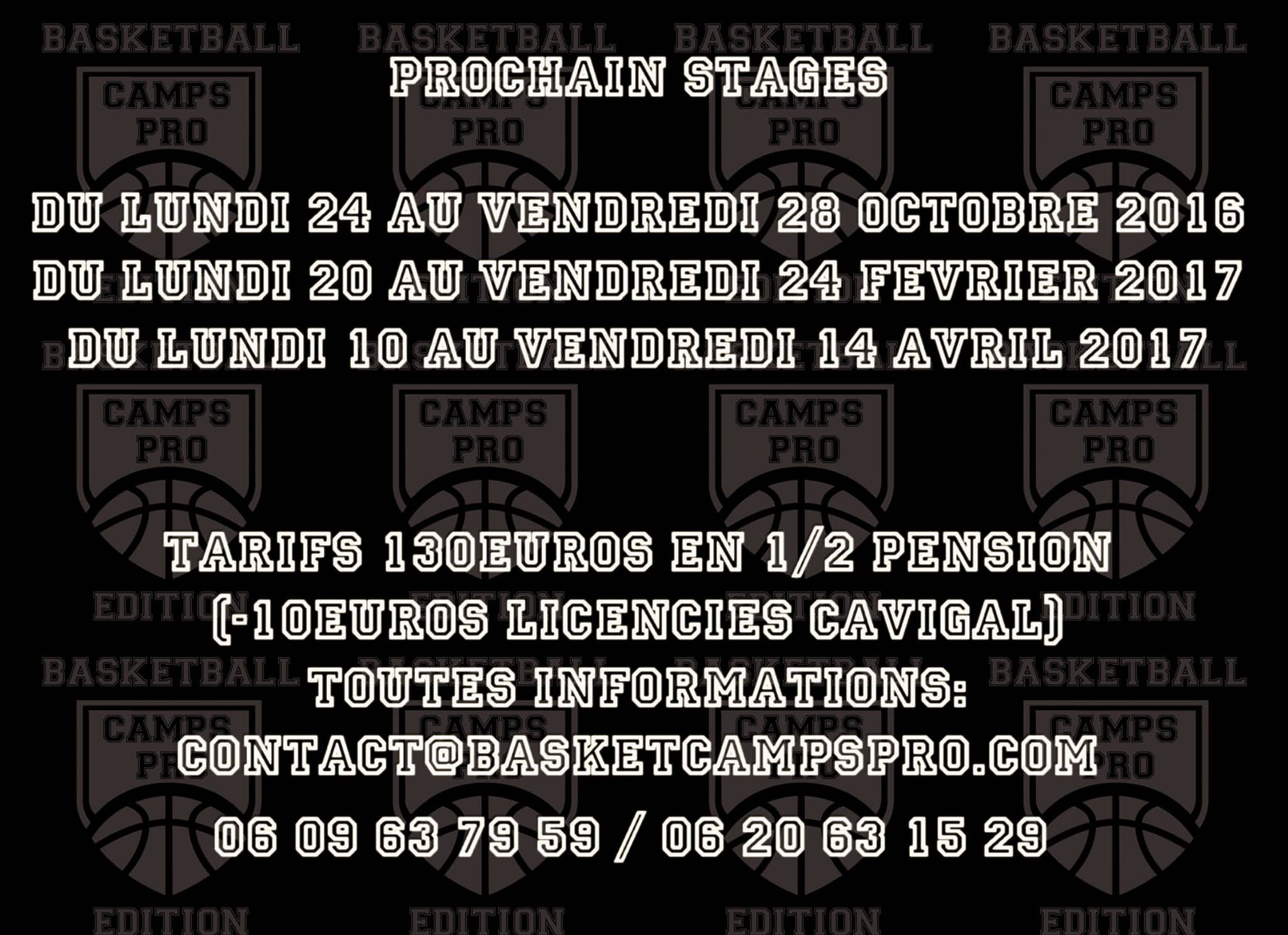 Photo Basket Camps Pro