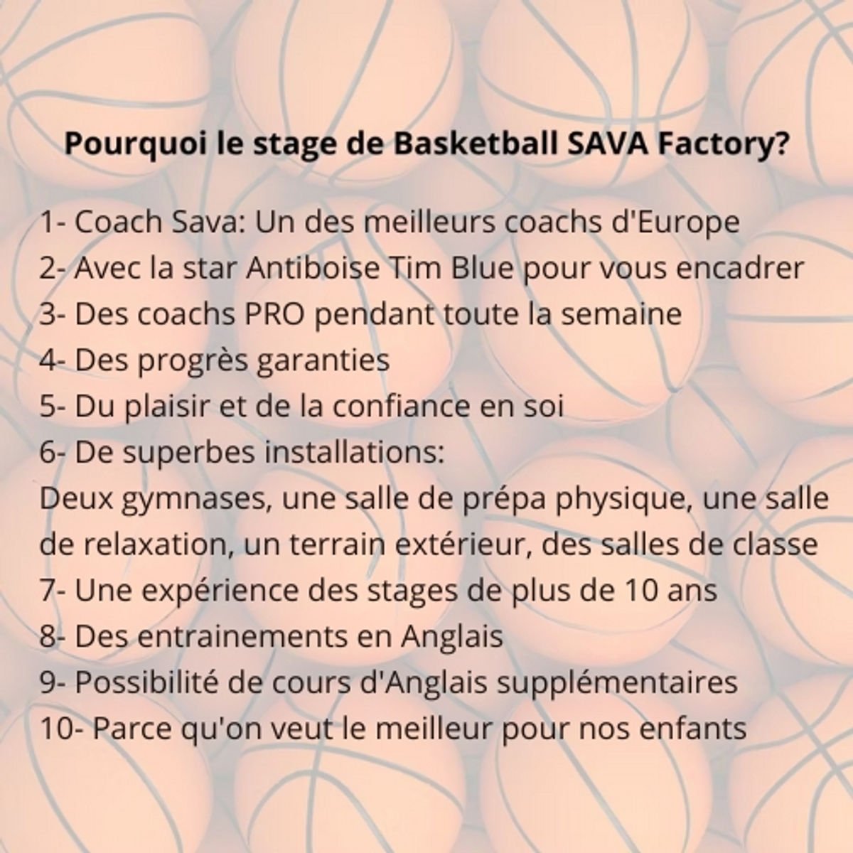 Photo Basket Camps Pro