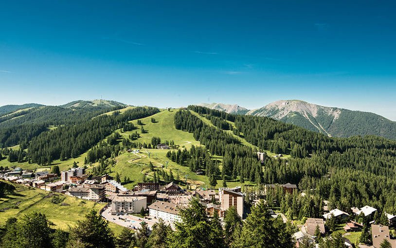 Photo Basket Camps Pro