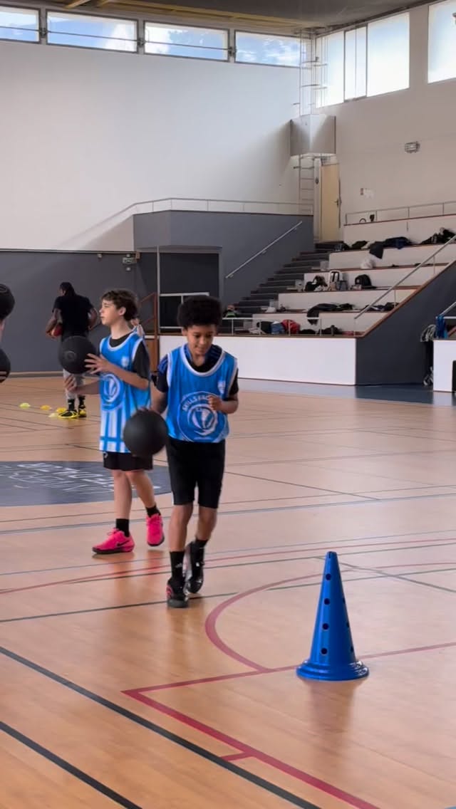 Photo Basket Camps Pro