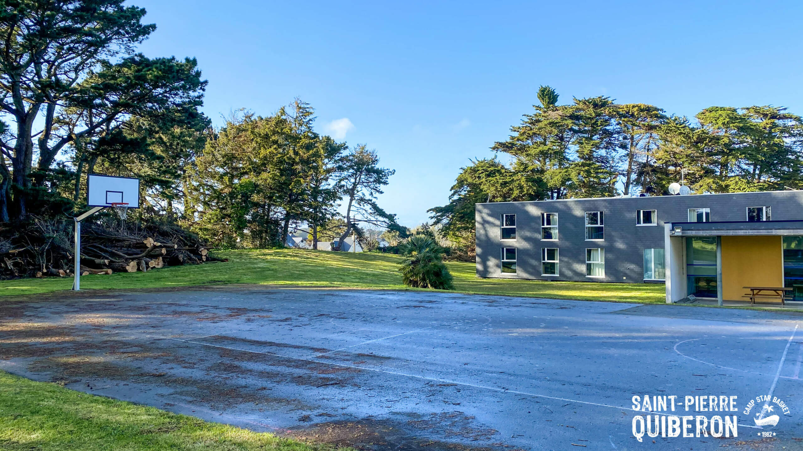 Photo Camp Star Basket