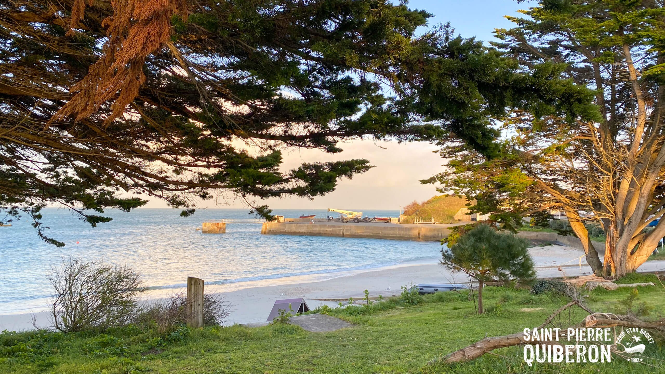 Photo Camp Star Basket