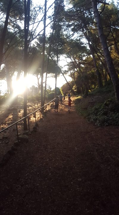 Photo Destination Basket