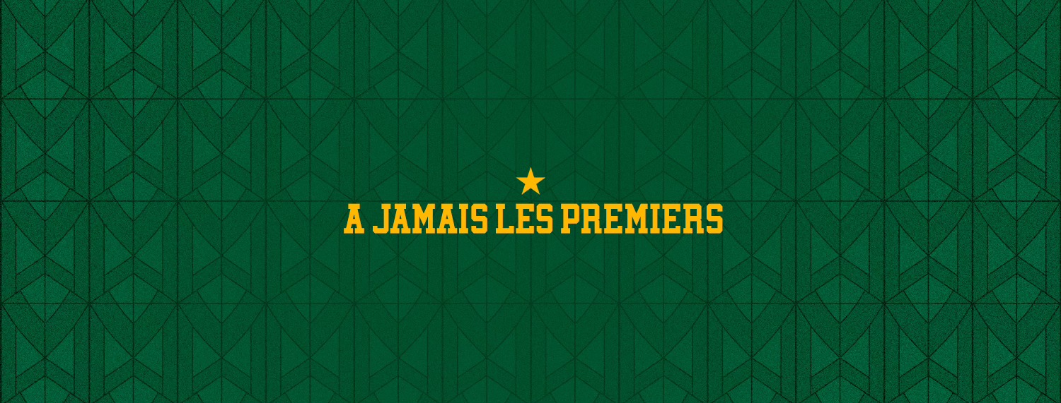 Photo Dunk Pro 87 Limoges CSP