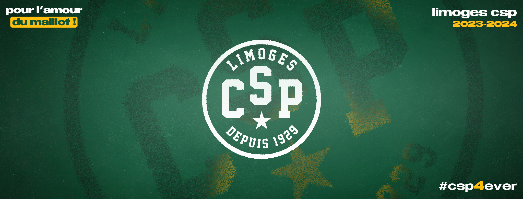 Photo Dunk Pro 87 Limoges CSP