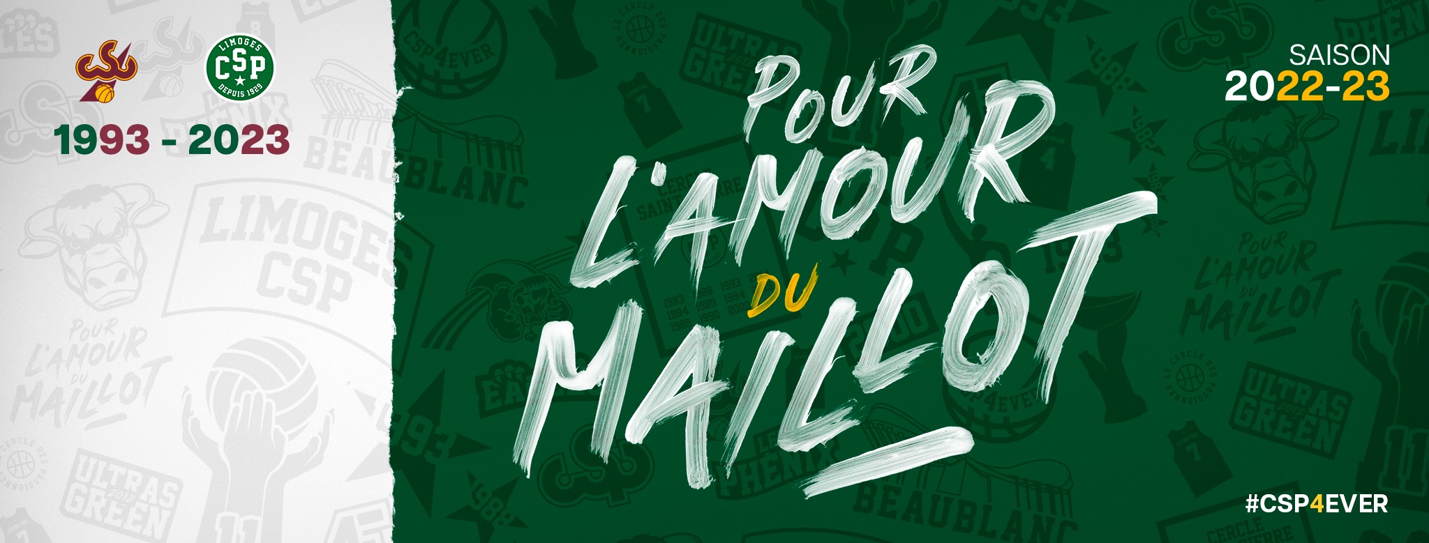 Photo Dunk Pro 87 Limoges CSP