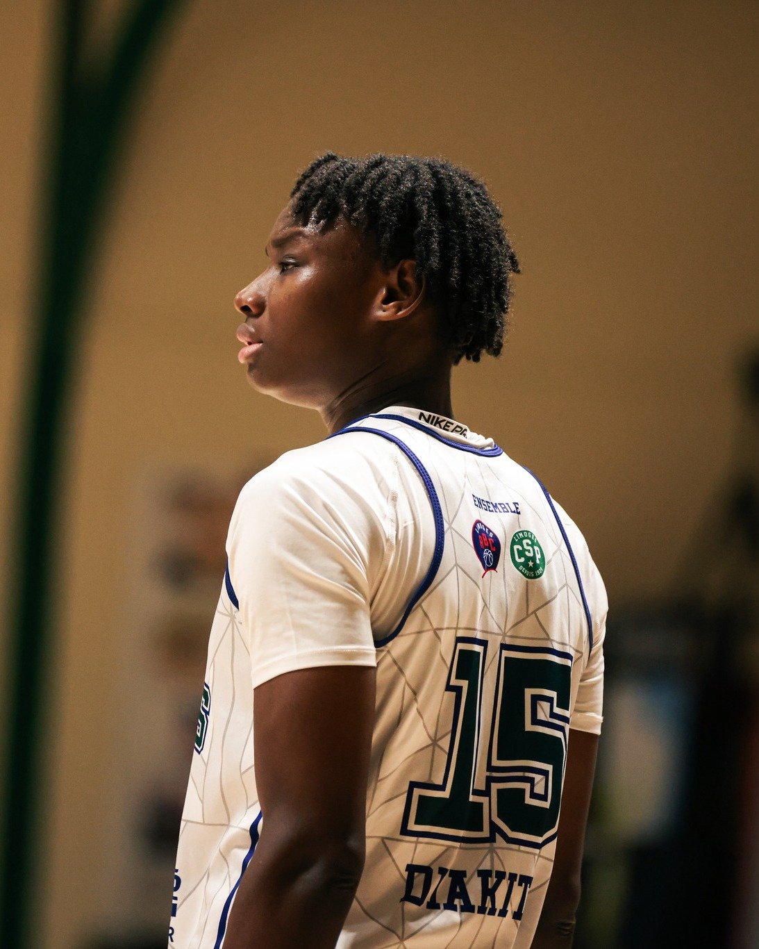 Photo Dunk Pro 87 Limoges CSP