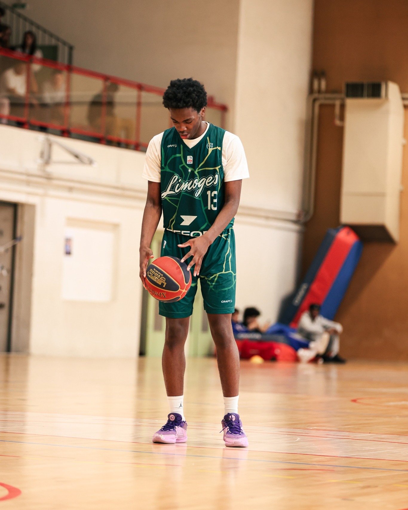 Photo Dunk Pro 87 Limoges CSP