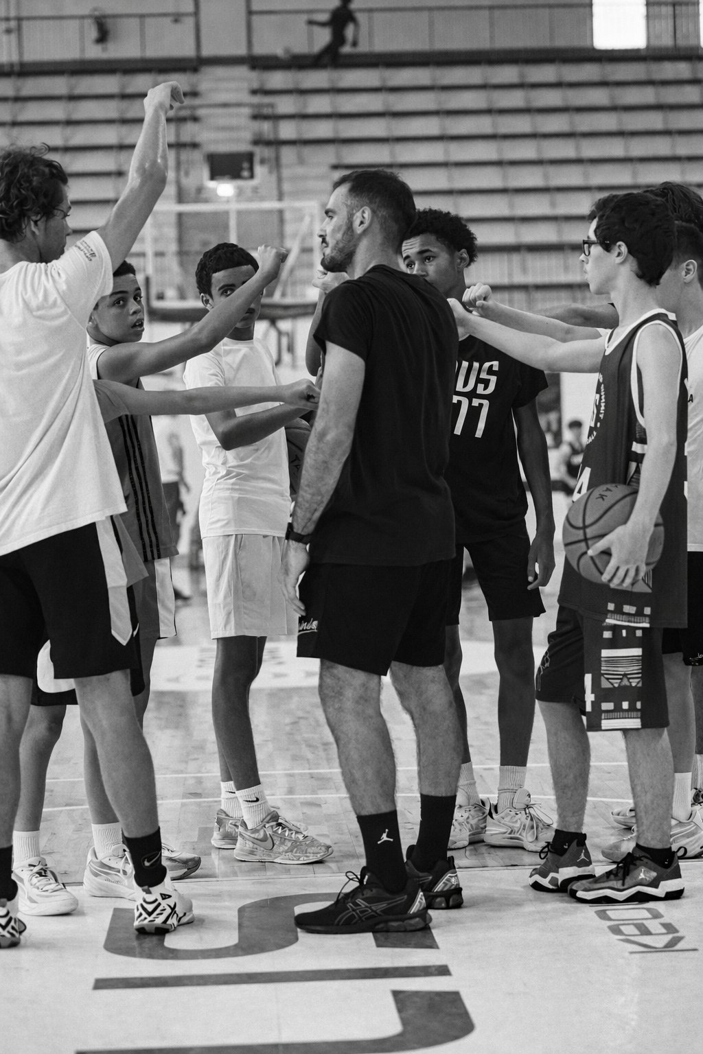 Photo Mopsus Concept Camp