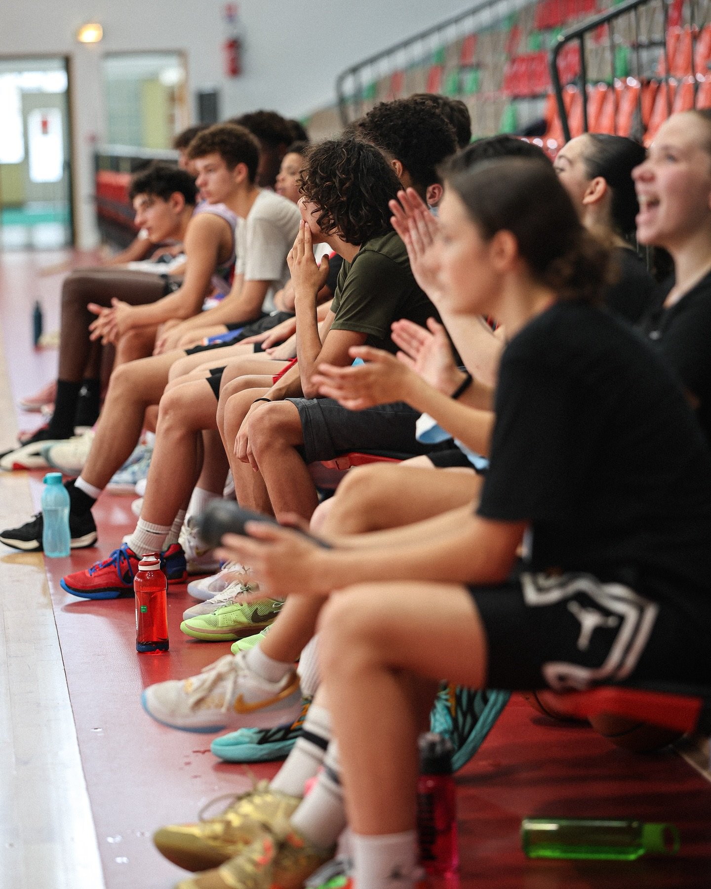 Photo Mopsus Concept Camp