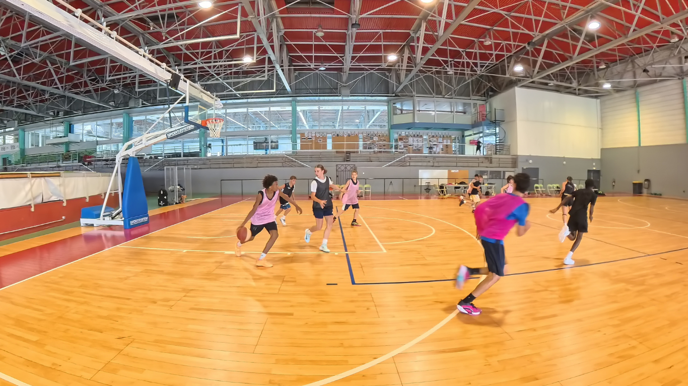 Photo MZ Basket Performance