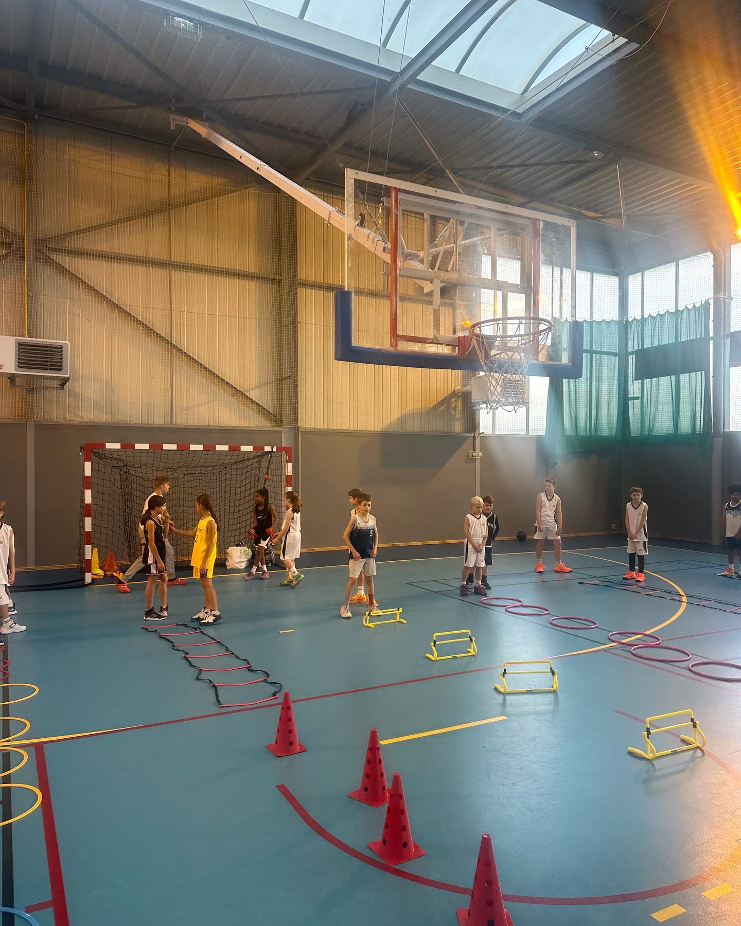 Photo MZ Basket Performance