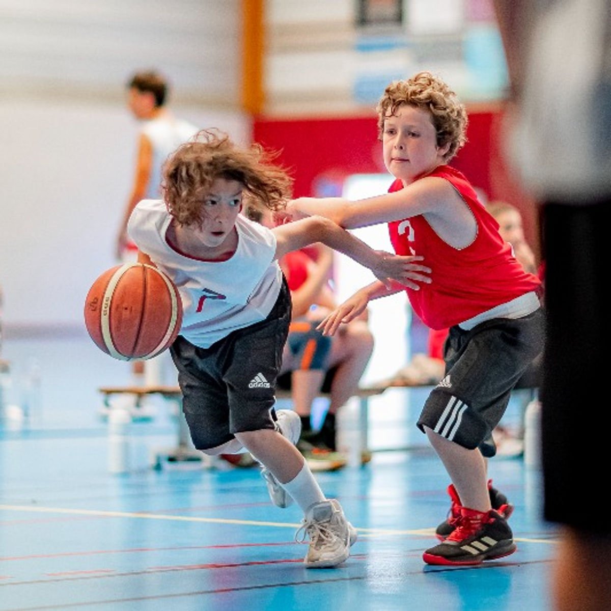 Photo NDC Nando de Colo