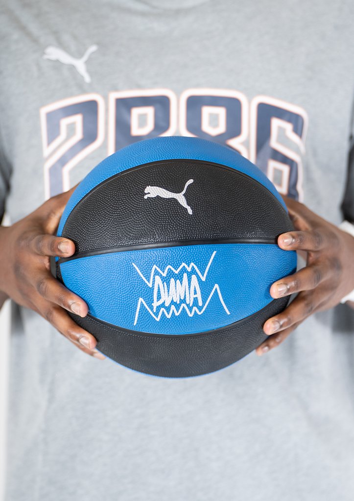 Photo Poitiers Basket 86