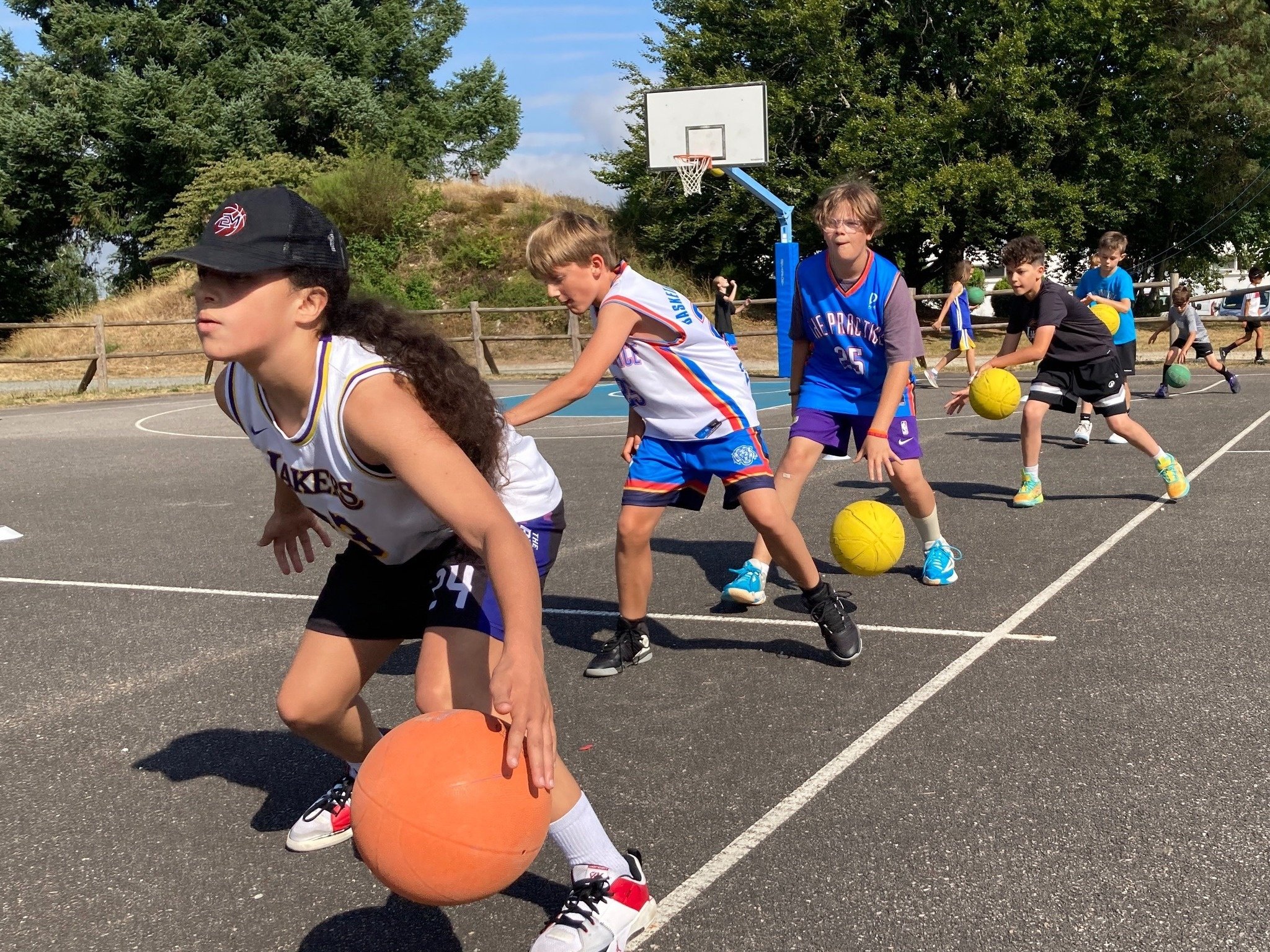 Photo Pulse Basketball Camps