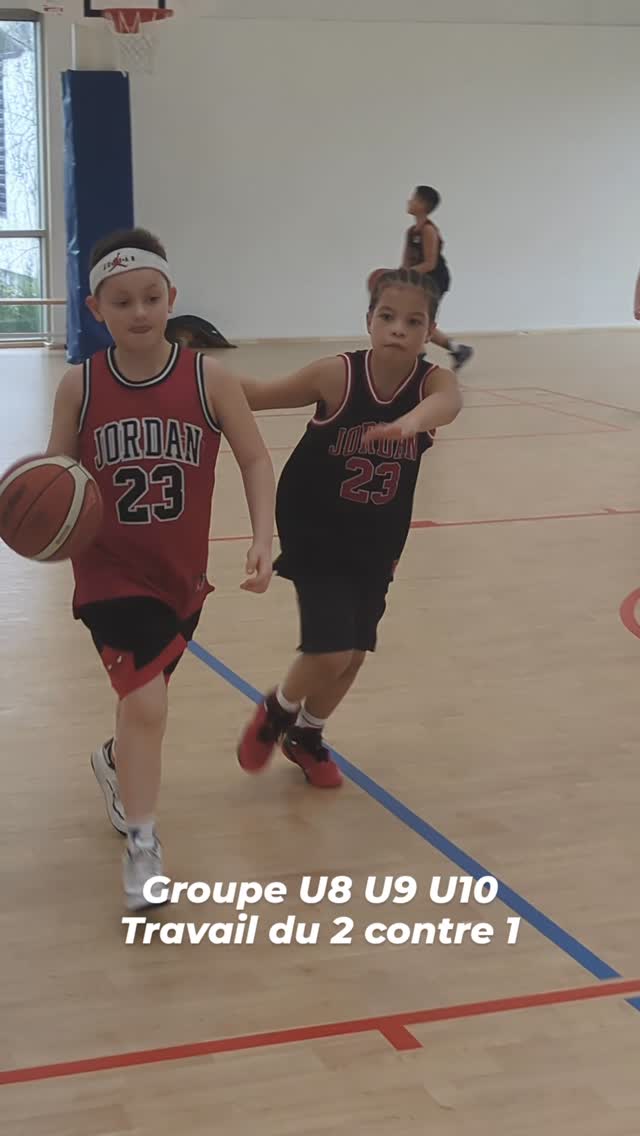 Photo Stage SLUC Basket