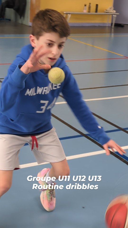 Photo Stage SLUC Basket