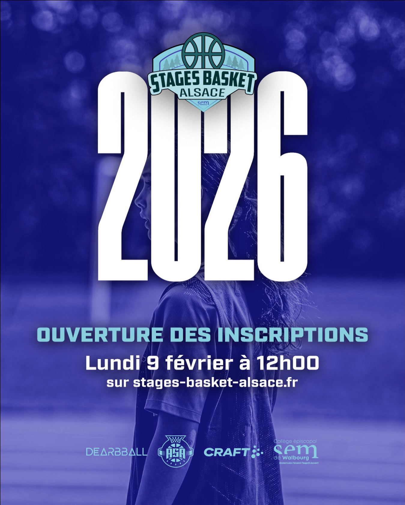 Photo Stages Basket Alsace