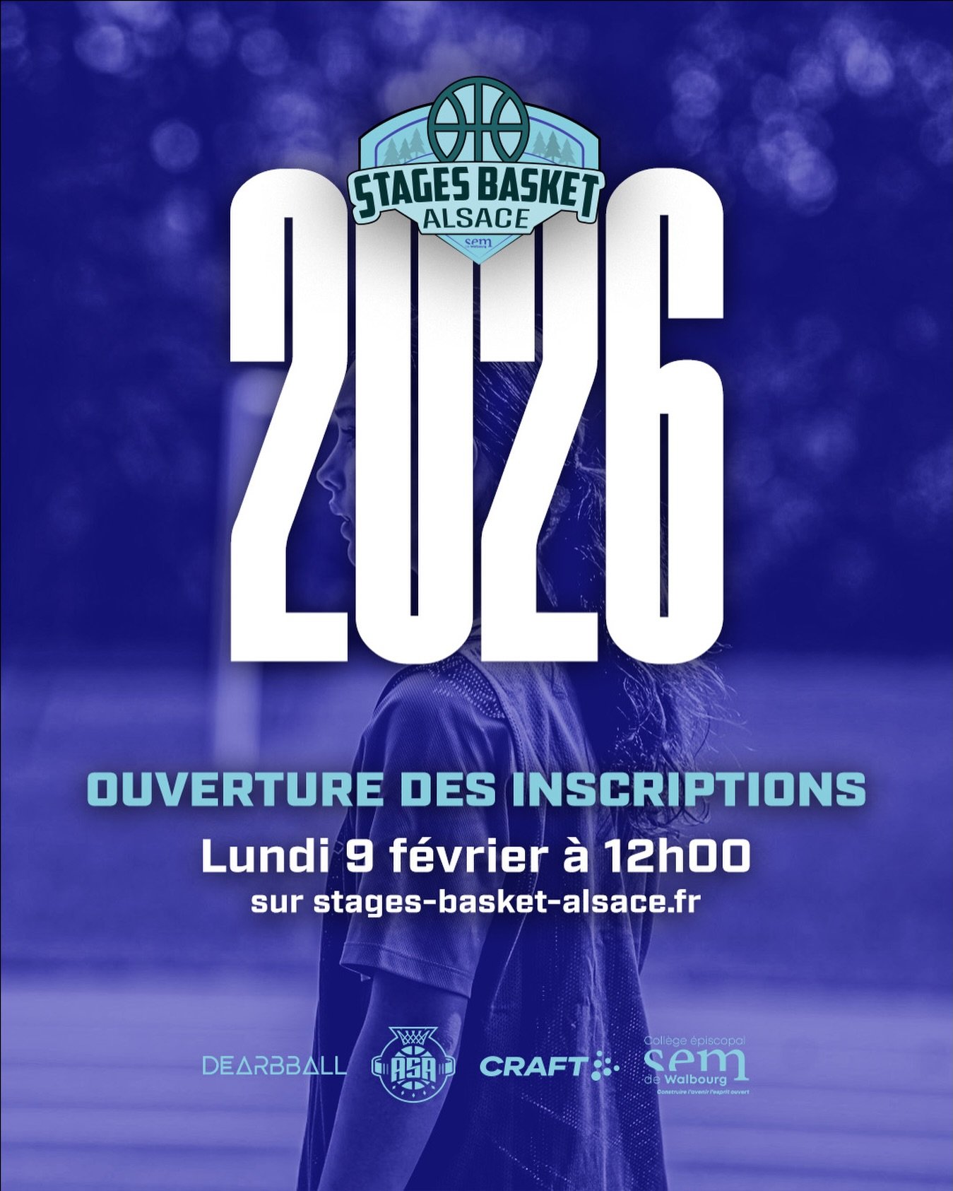 Photo Stages Basket Alsace