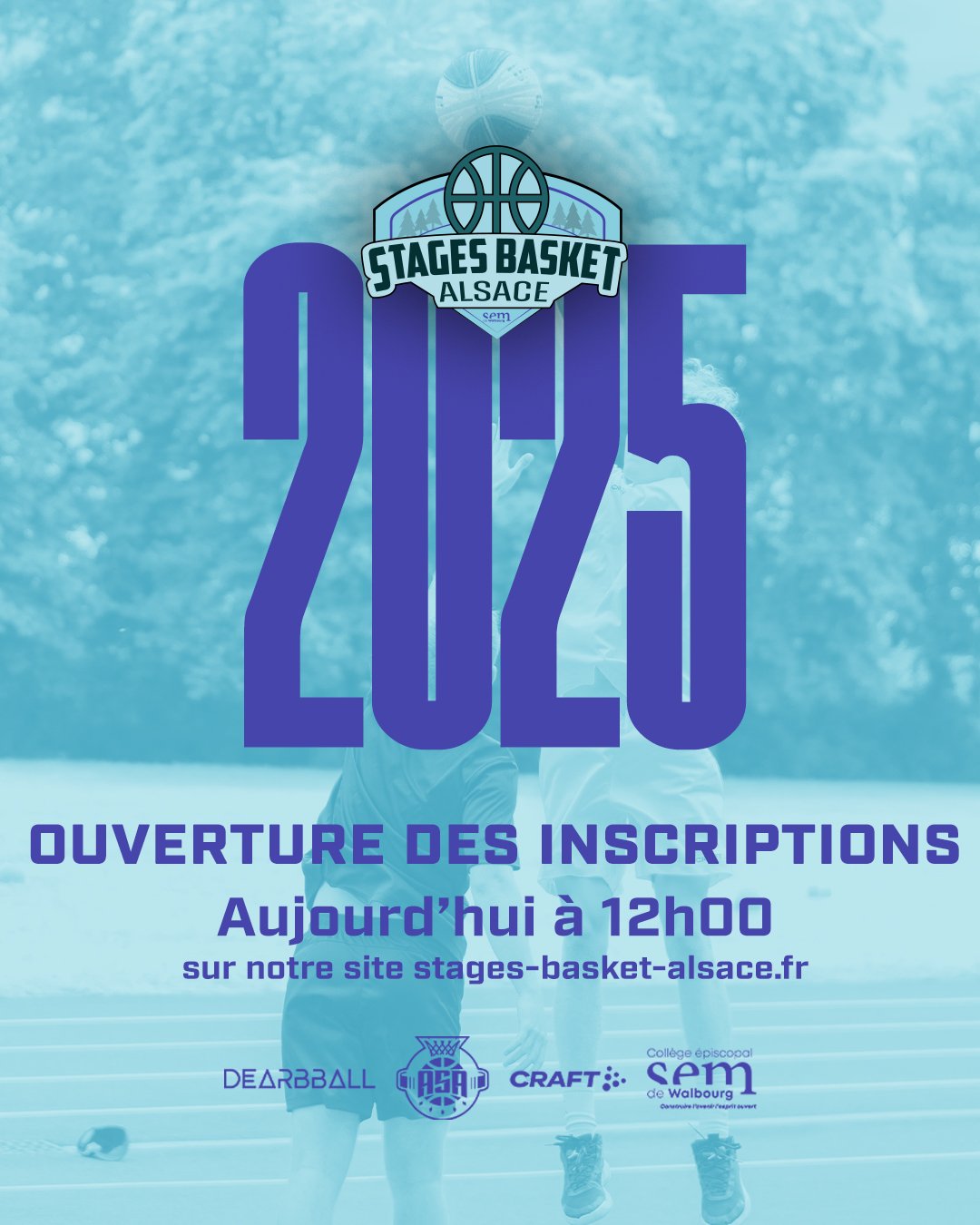 Photo Stages Basket Alsace