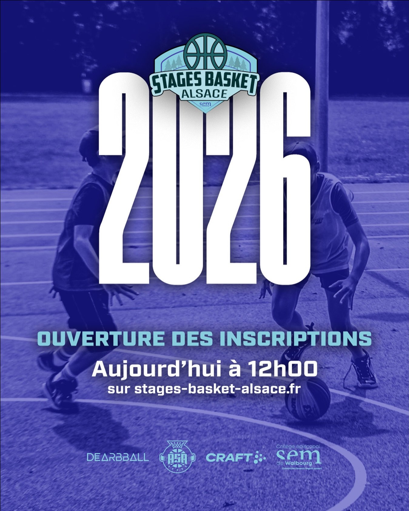 Photo Stages Basket Alsace