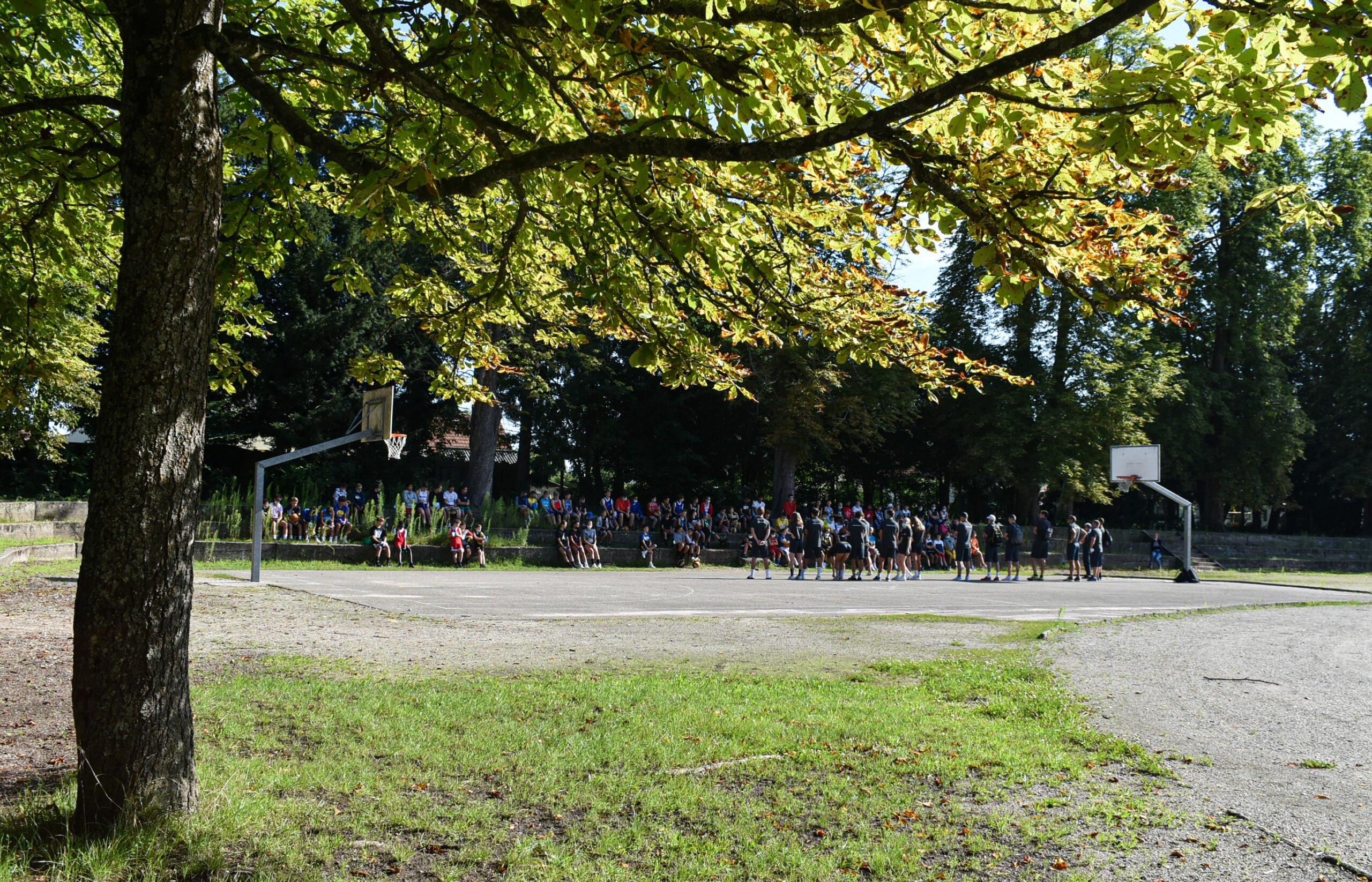 Photo Stages Basket Alsace
