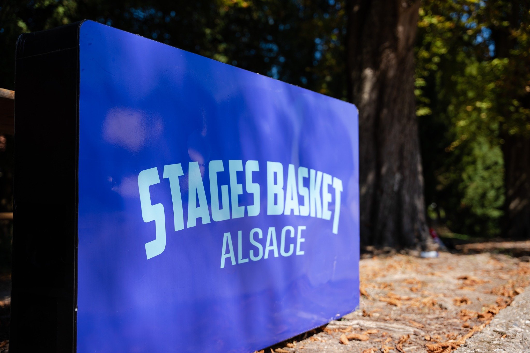 Photo Stages Basket Alsace