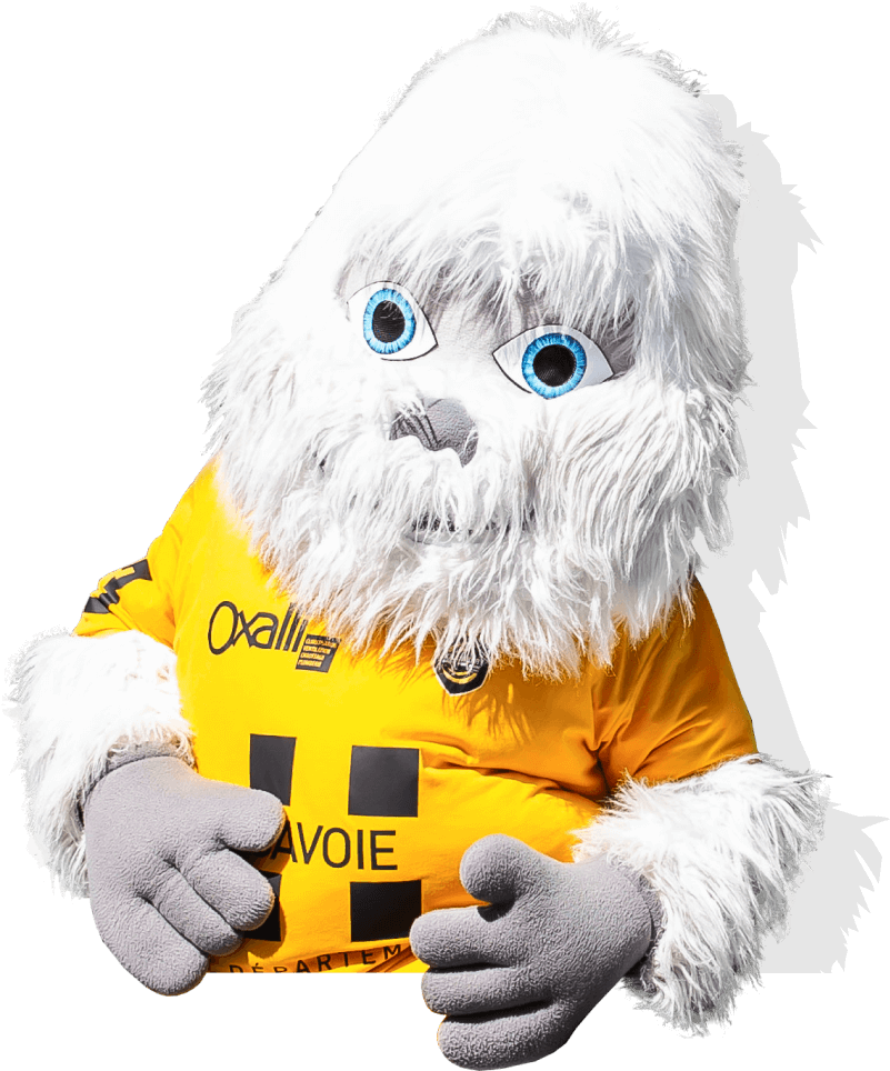 Photo Chambéry Savoie Mont Blanc Handball