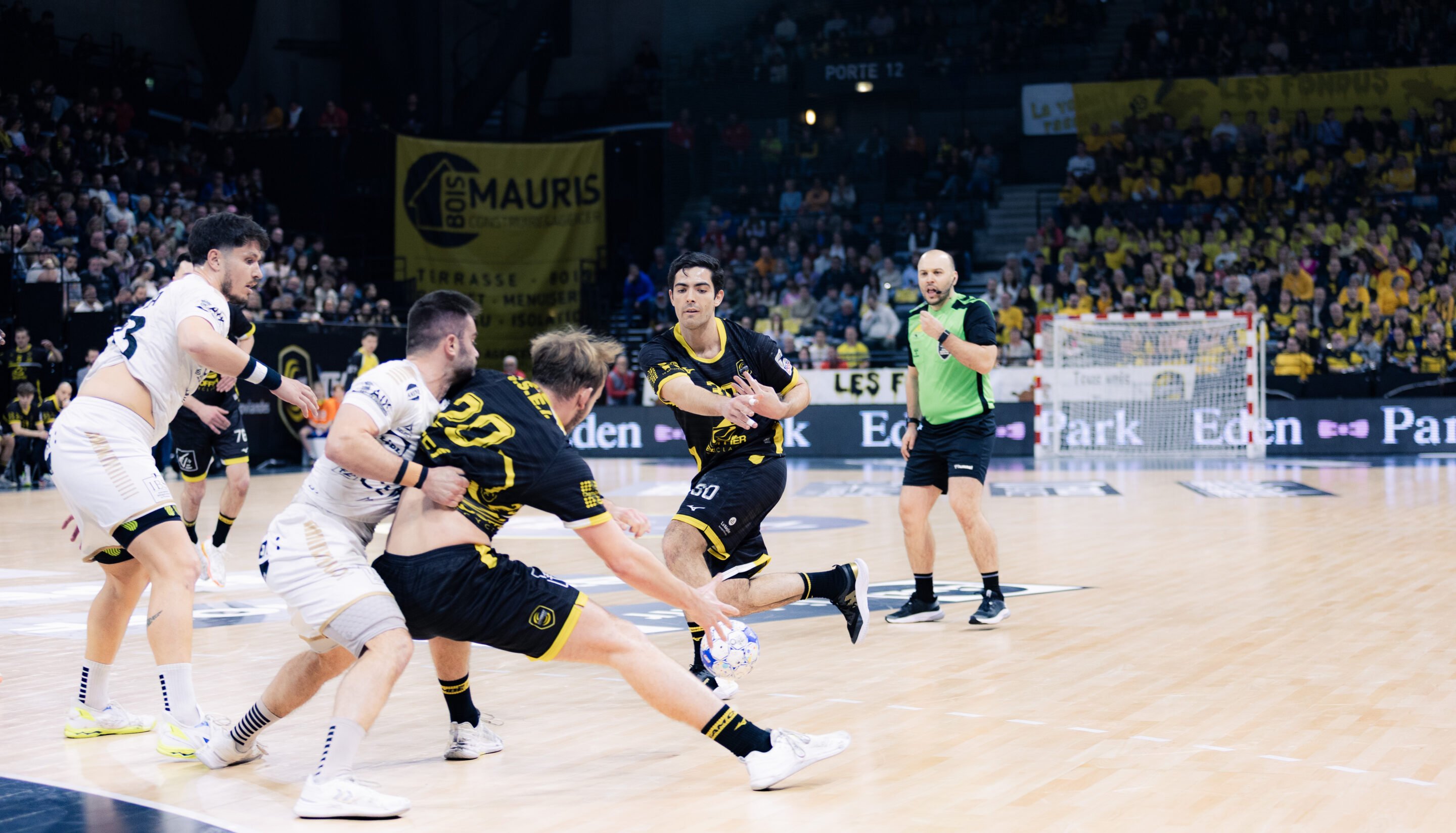 Photo Chambéry Savoie Mont Blanc Handball