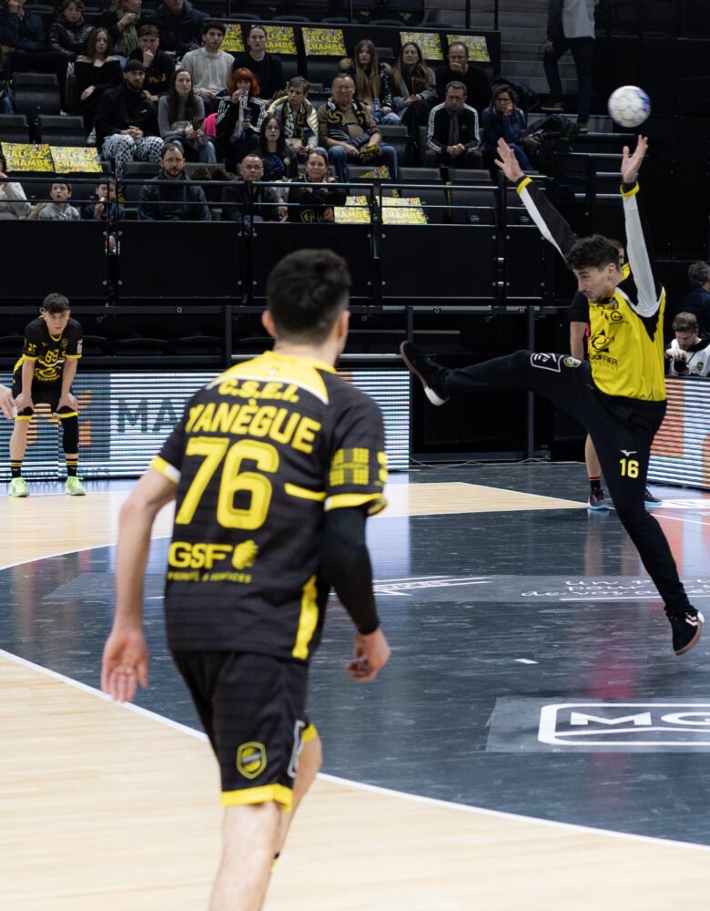 Photo Chambéry Savoie Mont Blanc Handball
