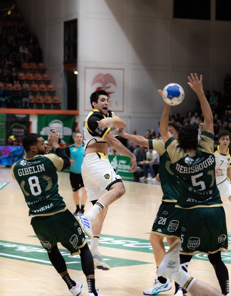 Photo Chambéry Savoie Mont Blanc Handball