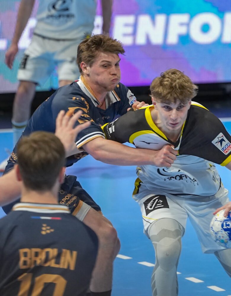 Photo Chambéry Savoie Mont Blanc Handball