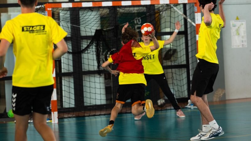 Photo Chambéry Savoie Mont Blanc Handball