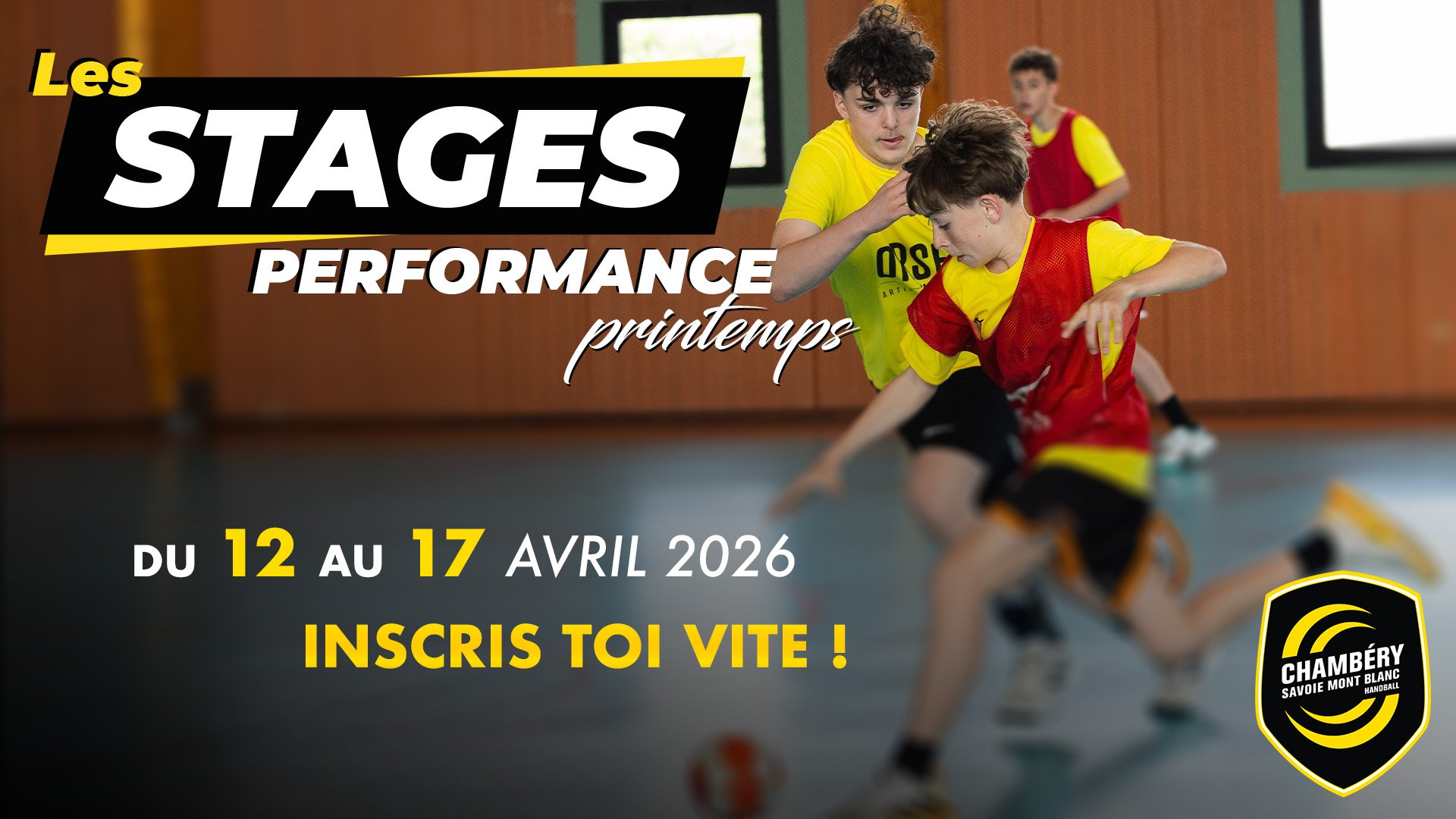 Photo Chambéry Savoie Mont Blanc Handball