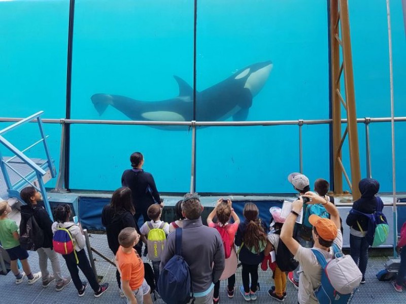 Photo Action Séjours