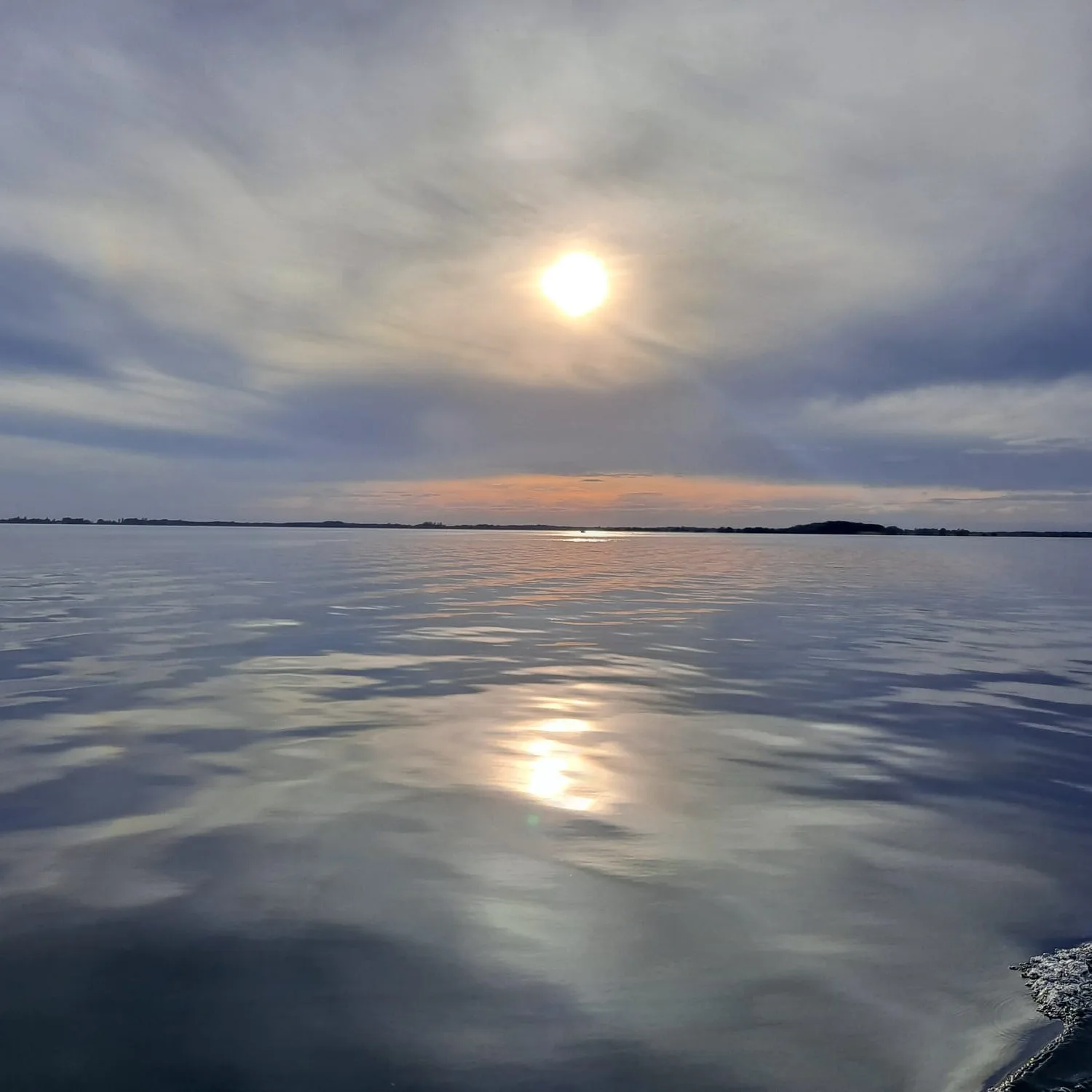 Photo Judo Camp Grand Est