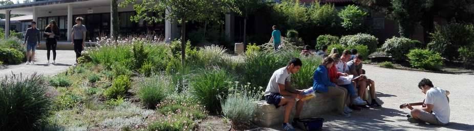 Photo Telligo 100% Judo