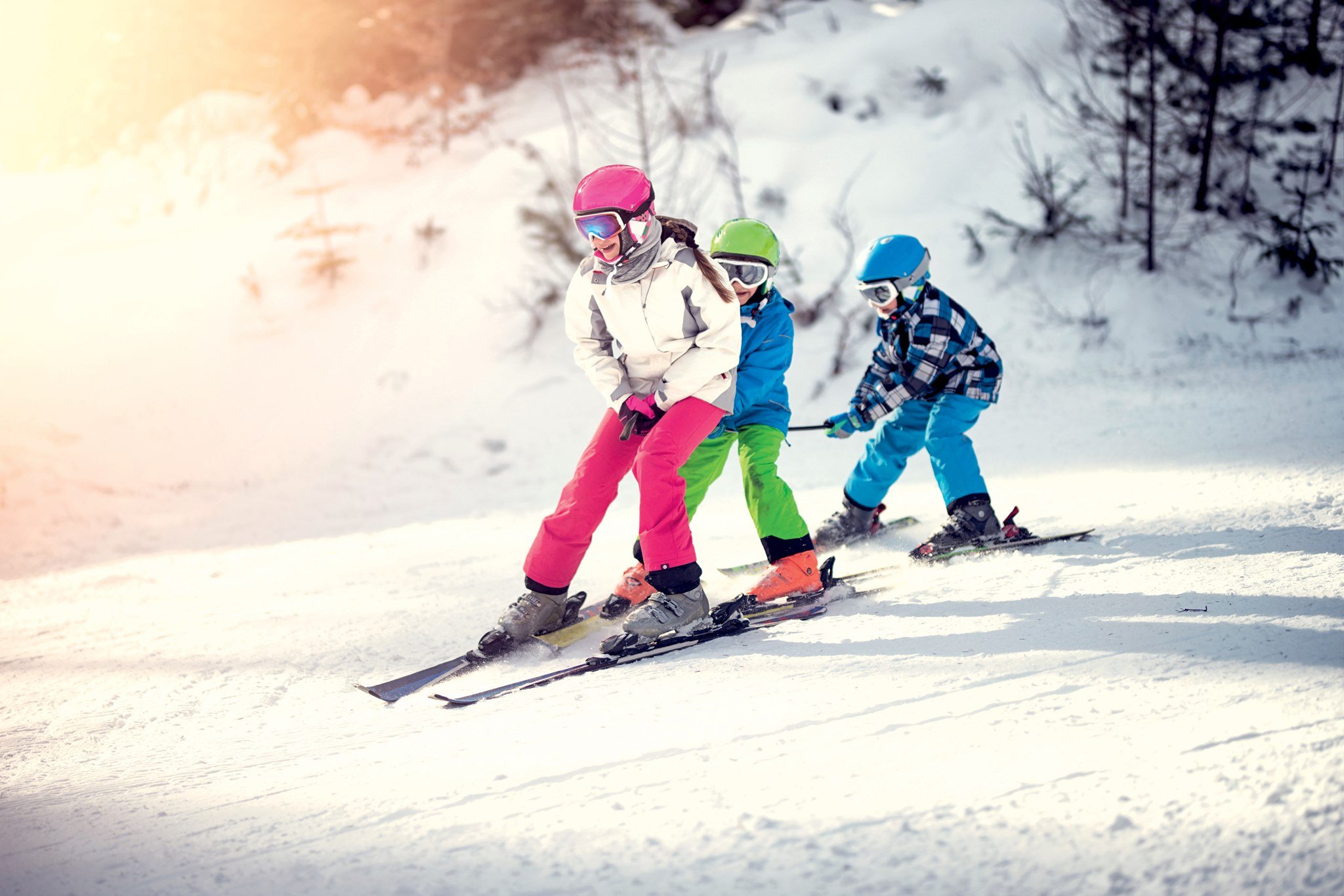 Photo Telligo 100% Judo