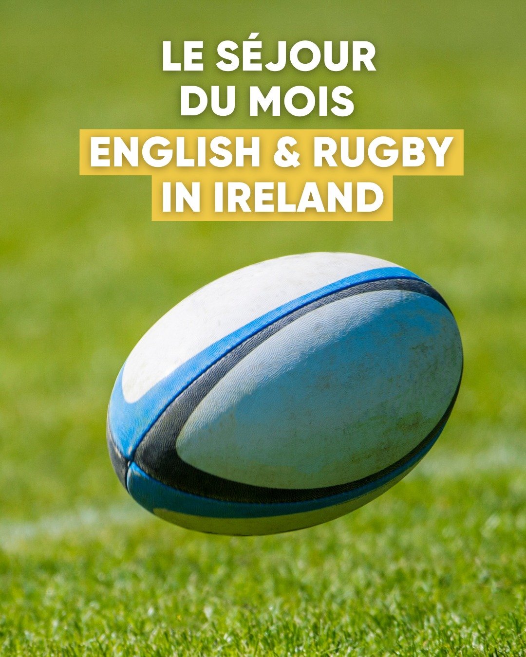 Photo Telligo 100% Judo