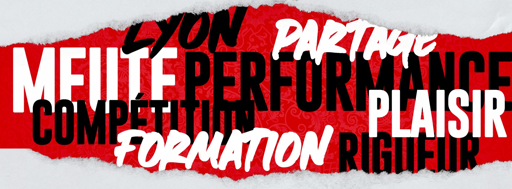 Photo LOU Association