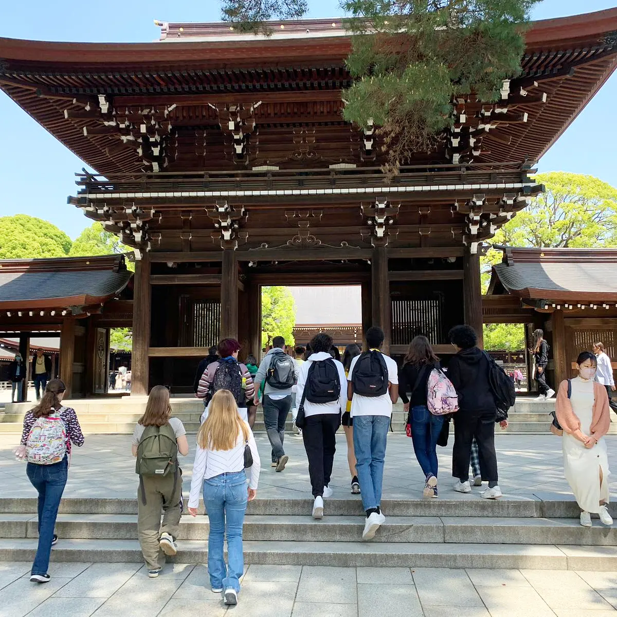 Photo Action Séjours